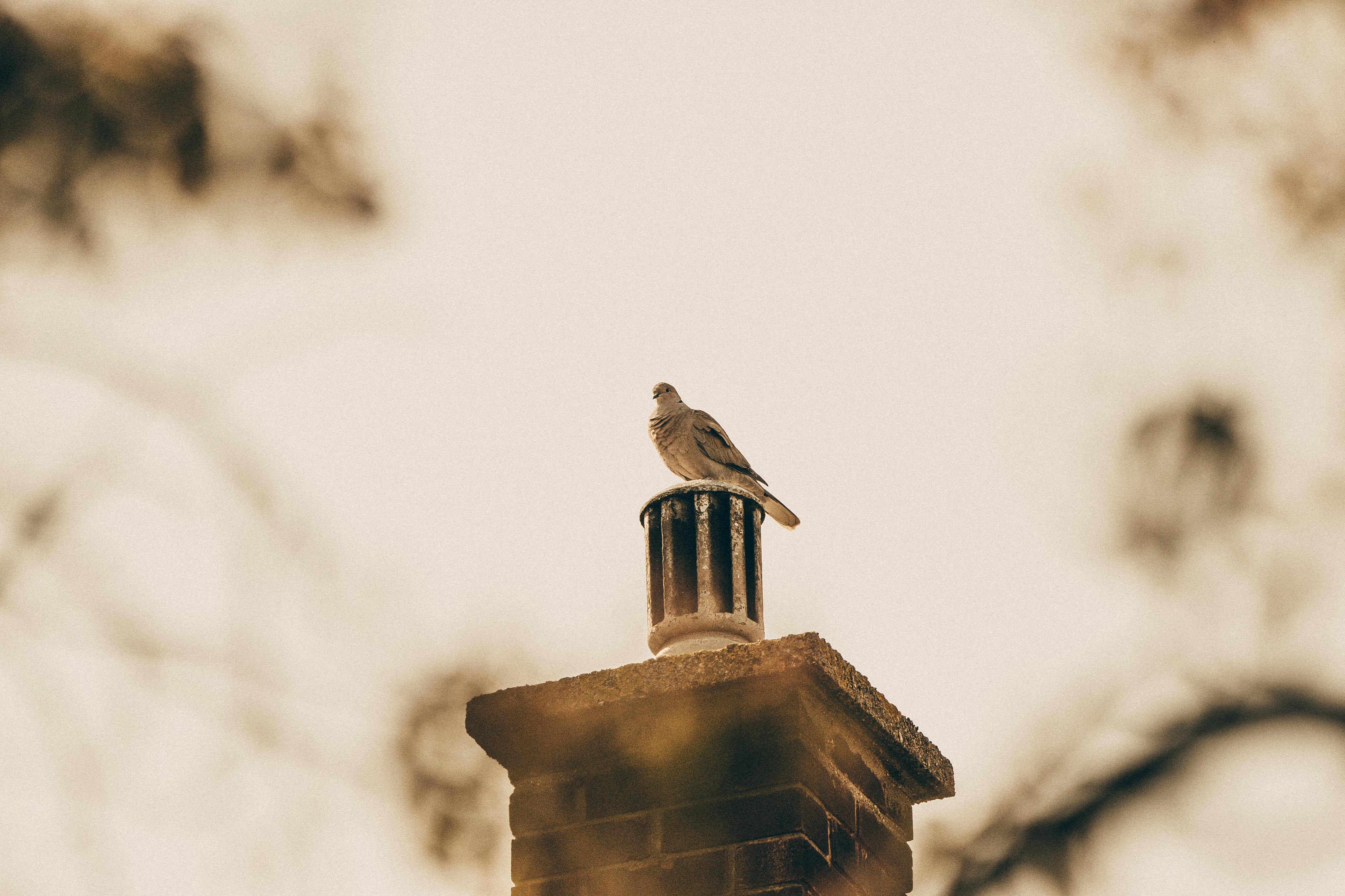 Professional Chimney Cap Installation Services in Fitchburg, MA Expert Chimney Cap Installation in Fitchburg, Massachusetts